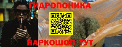 сатива Апшеронск