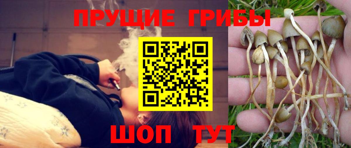 Псилоцибиновые грибы MAGIC MUSHROOMS  Галлюциногенные грибы прущие грибы  купить наркотики цена  Вход с VPN  Великий Устюг 
